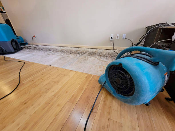 Professional Structural Drying technician working in Lynn, MA